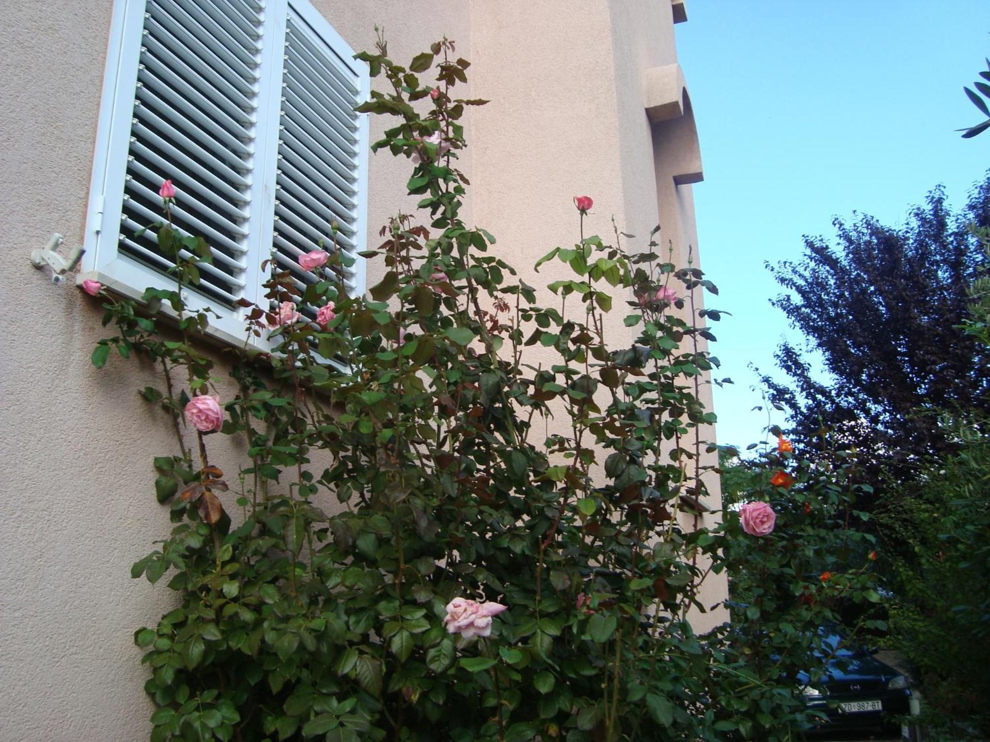 Apartments Eja Zadar Exterior photo