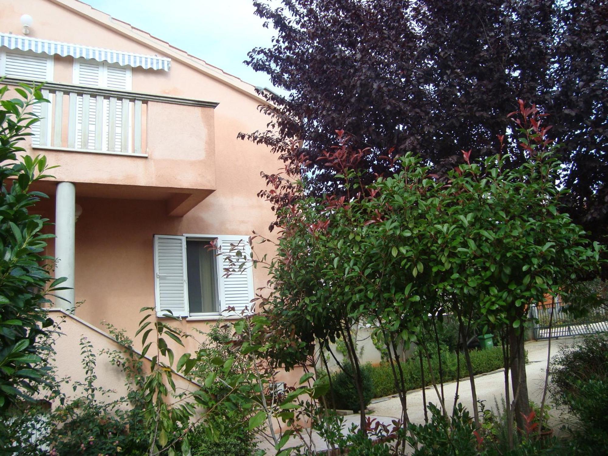 Apartments Eja Zadar Exterior photo